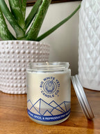 Sugar, Spice, and Reproductive Rights - Cause Candle - 8oz glass jar